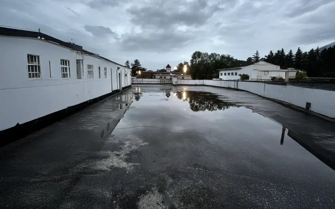 Ponding Water on Flat Commercial Roofs: The #1 Problem We See in New Jersey